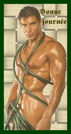 allez,c'est decider demain j'attaque la muscu !!!!!!